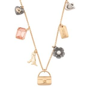 COACH Mini Tabby/ Rexy & Iconic Charms  CZ Crystals Necklace